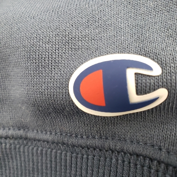 Champion Mens Sizs Large Elevation Blue Pullover Hoodie NWT - Picture 5 of 6